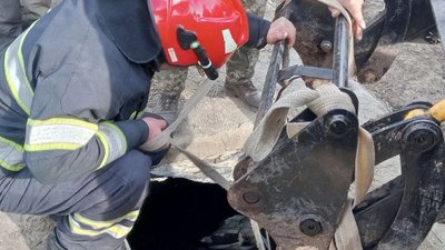 На Хмельниччині рятувальники дістали з льоху бика На Хмельниччині рятувальники дістали з льоху бика