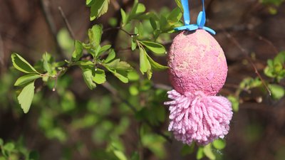 Погода, довкілля, Івано-Франківщина