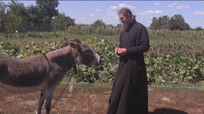 На Вінниччині в чоловічому монастирі розводять декоративних птахів На Вінниччині в чоловічому монастирі розводять декоративних птахів