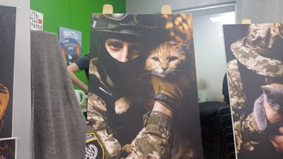 «Військотики»: у Полтаві створили листівки зі світлинами воїнів та котів