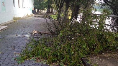 Повалені дерева та затоплені вулиці. Наслідки грози в Ужгороді