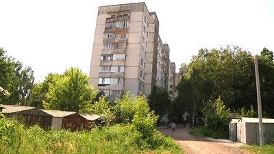 У Житомирі розростається борщівник
