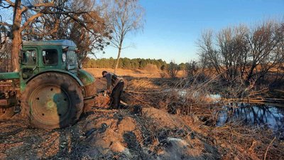 Замість чагарників та смітників: у громаді на Житомирщині двоє киян створили парк Замість чагарників та смітників: у громаді на Житомирщині двоє киян створили парк