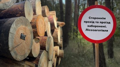 На Полтавщині цьогоріч у лісництвах продали 160 тисяч кубів 