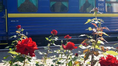 109-ий день війни, Дніпро, троянди в парку Глоби. Фоторепортаж