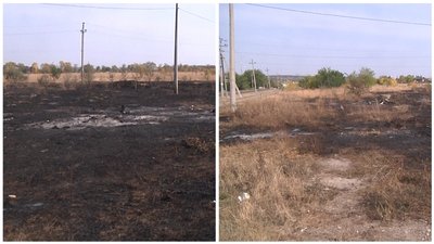 Рятувальники назвали ймовірну причину пожежі у ландшафтному парку на Донеччині