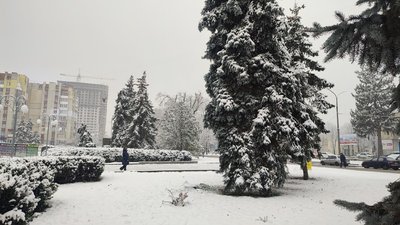 Зима в Черкасах