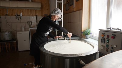 Як подружжя з гуцульського села на Івано-Франківщині виготовляє крафтовий сир