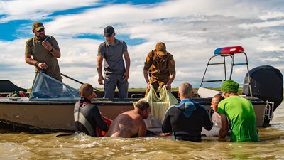 На Херсонщині врятували дельфіна, якого шторм прибив до берега Дніпро-Бузького лиману На Херсонщині врятували дельфіна, якого шторм прибив до берега Дніпро-Бузького лиману