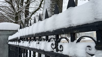 Погода на Рівненщині на 11 січня 2026 року