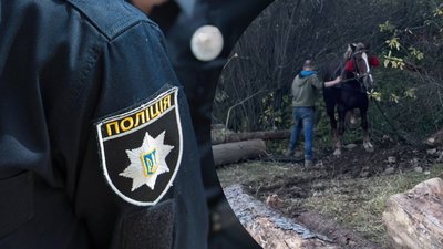 Поліція, кінь, Микуличин, знущання, жорстоке поводження з тваринами, Франківщина