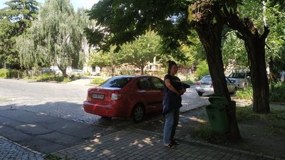 Порятунок лелеки з відкритим переломом на Закарпатті Порятунок лелеки з відкритим переломом на Закарпатті