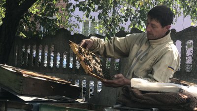 Минулого року дотацію з держбюджету отримали понад 1 000 прикарпатських бджолярів Минулого року дотацію з держбюджету отримали понад 1 000 прикарпатських бджолярів
