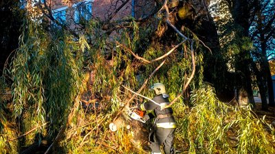 Поблизу багатоповерхівки рятувальники обрізають гілля дерев, яке зламалось внаслідок сильного вітру, 28 жовтня 2023, Хмельниччина Поблизу багатоповерхівки рятувальники обрізають гілля дерев, яке зламалось внаслідок сильного вітру, 28 жовтня 2023, Хмельниччина