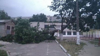 У Чернігові сильний вітер повалив дерева, майже 30 вулиць без світла У Чернігові сильний вітер повалив дерева, майже 30 вулиць без світла