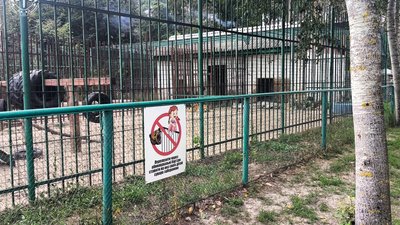 На Полтавщині ветеринар отримав підозру через травмування хлопчика левицею
