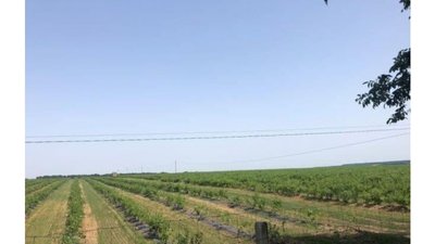 На Черкащині фермери побили на інспекторів праці під час перевірки На Черкащині фермери побили на інспекторів праці під час перевірки