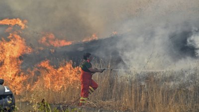 В Італії палають ліси, загинули щонайменше троє людей