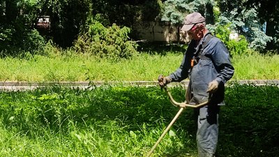 Екзотичні дерева, розваги та прочесані газони — що варто знати житомирянам перед прогулянкою у міських парках Екзотичні дерева, розваги та прочесані газони — що варто знати житомирянам перед прогулянкою у міських парках