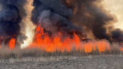 9 квітня: у плавневій зоні річки Дніпро на Запоріжжі сталося загоряння