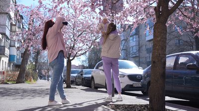 У Вінниці зацвіли перші сакури У Вінниці зацвіли перші сакури