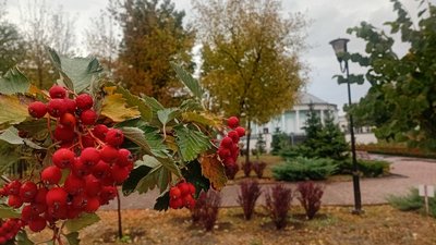 Краматорськ