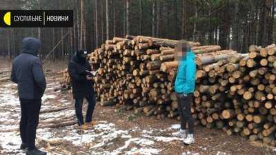 Обшуки у Держлісагентстві через незаконну вирубку дерев Обшуки у Держлісагентстві через незаконну вирубку дерев