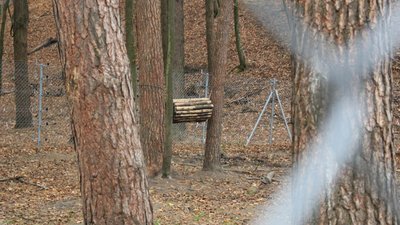 У притулку для ведмедів роблять спеціальні іграшки, в яких ховають їжу. За словами доглядачів, це у ведмедів відновлює інстинкт пошуковців У притулку для ведмедів роблять спеціальні іграшки, в яких ховають їжу. За словами доглядачів, це у ведмедів відновлює інстинкт пошуковців
