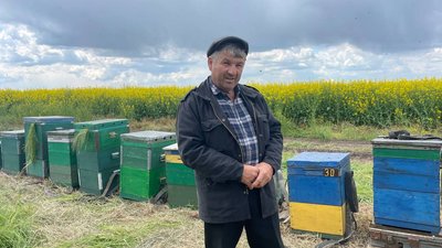 На Миколаївщині від наслідків ведення бойових дій загинуло близько трьох тисяч сімей бджіл На Миколаївщині від наслідків ведення бойових дій загинуло близько трьох тисяч сімей бджіл