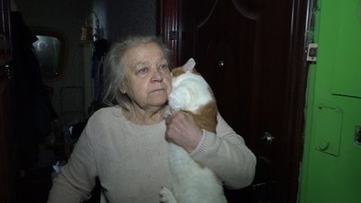 Затопило котячою сечею. Чернігівка подала до суду на сусідку та вимагає 25 тисяч гривень Затопило котячою сечею. Чернігівка подала до суду на сусідку та вимагає 25 тисяч гривень