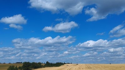 Захмарене небо над полем