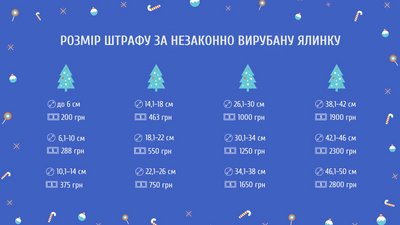 За незаконно зрубану ялинку на Черкащині будуть штрафувати За незаконно зрубану ялинку на Черкащині будуть штрафувати