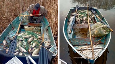 На Кіровоградщині чоловік сітками виловив риби на понад пів мільйона гривень На Кіровоградщині чоловік сітками виловив риби на понад пів мільйона гривень