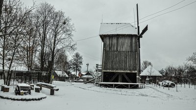 Двійко баранців: перше поповнення в музейній овечій сім'ї на Рівненщині Двійко баранців: перше поповнення в музейній овечій сім'ї на Рівненщині