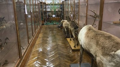 Географія, товариство, осередок, краєзнавство, історія, туризм Географія, товариство, осередок, краєзнавство, історія, туризм
