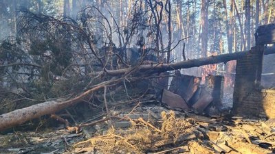 2,5 гектара лісу Сумщини засмічене через ракетні удари РФ