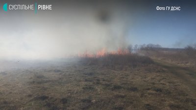 Біля Рівного рятувальники гасили польову пожежу