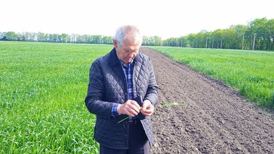 Весняні заморозки на Сумщині: як протидіяти та чим рятуватися Весняні заморозки на Сумщині: як протидіяти та чим рятуватися