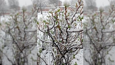 ФОТО: Валентина Воєвода