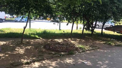 В Ужгороді демонтували самовільно встановлений павільйон В Ужгороді демонтували самовільно встановлений павільйон