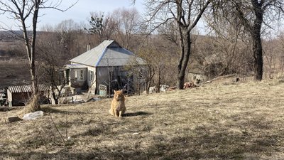 мала комишуваха мала комишуваха