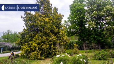 Дендропарк ”Веселі Боковеньки” на Кіровоградщині: весна попри карантин Дендропарк ”Веселі Боковеньки” на Кіровоградщині: весна попри карантин
