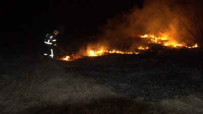 За добу на Сумщині 14 разів ліквідовували загоряння сухої рослинності