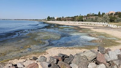 Чорне море, екологія, забруднення