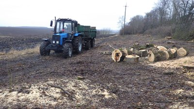 Незаконне вирубування дерев на Тернопільщини, Тернопільська обласна прокуратура