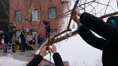 Дерево надії у Чернігові: відкрили символ, присвячений полоненим і зниклим безвісти