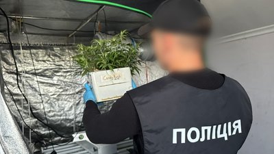 На Закарпатті шістьох людей підозрюють у наркоторгівлі