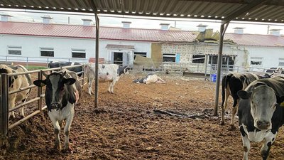 ферма василів хутір