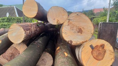 Чотири вантажівки з деревом без документів затримали закарпатські поліцейські протягом тижня Чотири вантажівки з деревом без документів затримали закарпатські поліцейські протягом тижня