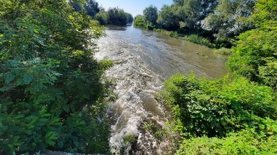 Велика вода: рівень річок на Одещині за добу підвищився майже на 15 сантиметрів Велика вода: рівень річок на Одещині за добу підвищився майже на 15 сантиметрів